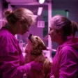 Two female vets and a dog receiving vet care - Knose